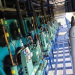 WhatsApp Image 2025-03-13 at 20.08.05