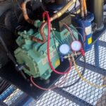 WhatsApp Image 2025-03-13 at 20.15.38 (1)