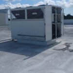 WhatsApp Image 2025-03-13 at 20.15.38 (2)